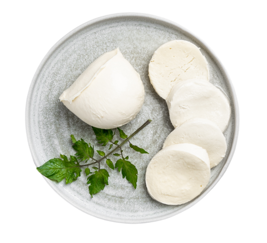 Mozzarella Fiordilatte 100g